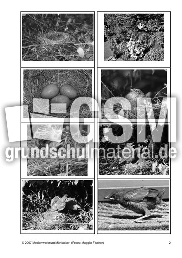 Amsel-Bild-Satz-Zuordnung-Sw-2.pdf